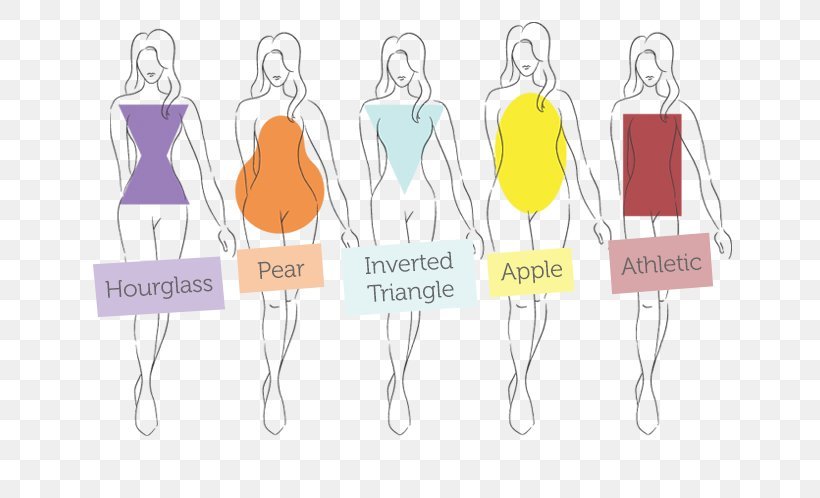 How to Find a Body Shape Calculator?