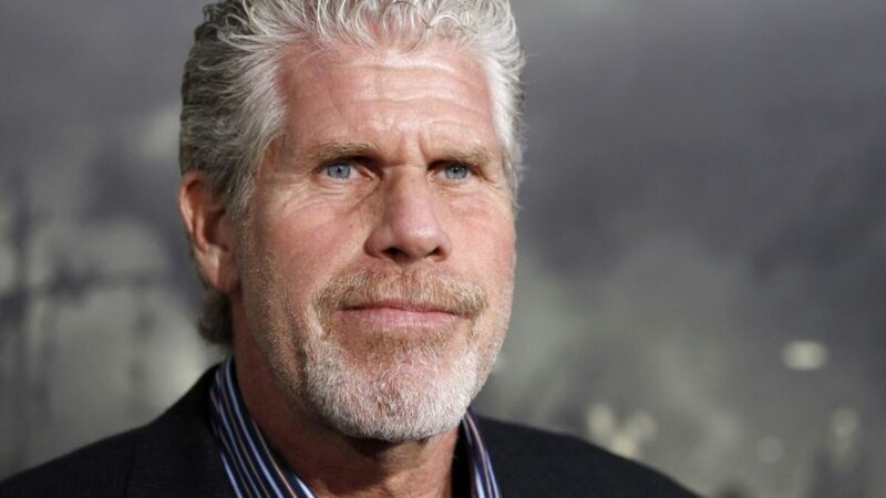 Ron Pearlman Net Worth